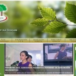 ecuador-forestal ecuador-forestal