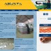 arista